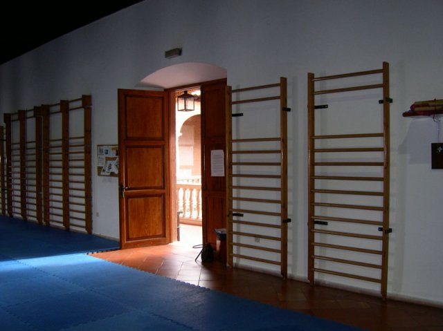 aula10palaciofucares1